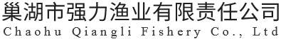 尼龍單絲漁網(wǎng)-巢湖市強(qiáng)力漁業(yè)有限責(zé)任公司